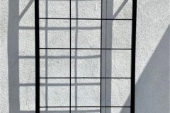Trellis-1