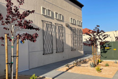 Trellis-6