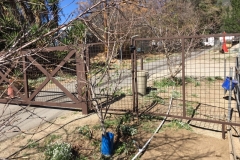 Fencing 101