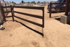 Fencing 107