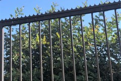 Fencing-121