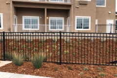 Fencing-125