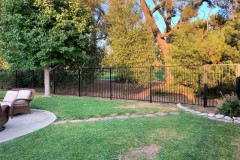 Fencing-130
