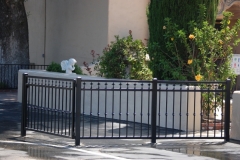 Fencing (14)