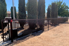 Fencing-158