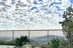 Fencing-164