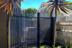 Fencing-176