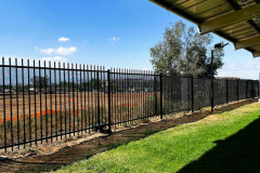 Fencing-179
