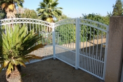 Fencing (18)