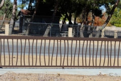 Fencing (20)