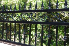 Fencing (29)
