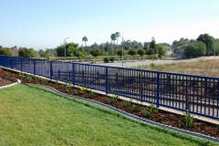 Fencing (32)