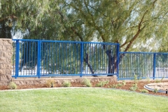 Fencing (33)