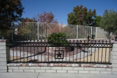 Fencing (36)