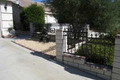 Fencing (37)