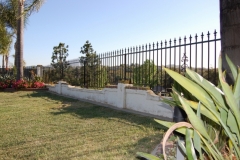Fencing (46)