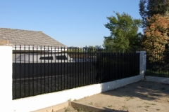 Fencing (48)