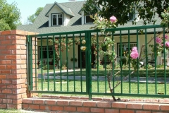 Fencing (59)