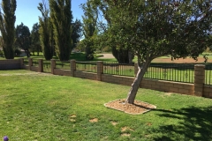Fencing (64)