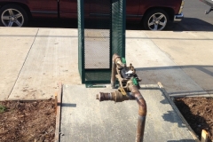 Outdoor Cages (10)