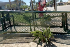Outdoor Cages (13)