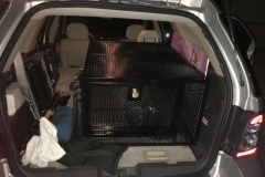 Vehicle Cages (6)
