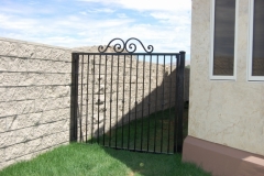 Walk-Thru-Gates-100