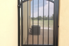 Walk Thru Gates (111)