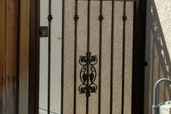 Walk-Thru-Gates-2