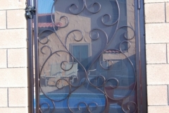 Walk-Thru-Gates-20