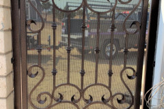 Walk-Thru-Gates-232