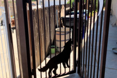Walk-Thru-Gates-248