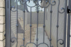Walk-Thru-Gates-250