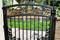 Walk-Thru-Gates-302