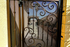 Walk-Thru-Gates-309