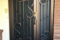 Security Doors and Windows (124)