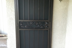 Security Doors and Windows (125)